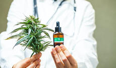 Ukraynada tibbi kannabisin leqallaşdırılması haqıqında qanun qüvvəyə minib