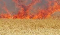 Avro və rubl bahalaşıb, manat sabit qalıb