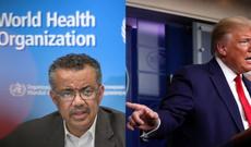 Trampın ÜST-lə bağlı aydın tapşırığı var