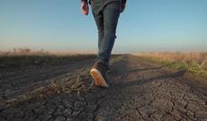 Oğuzda məktəbli meşədə itkin düşüb