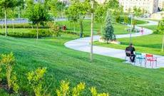 Bakıda yeni park salınacaq