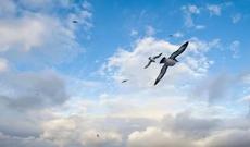 Bu gün hava necə olacaq?