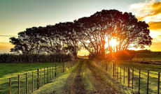 Sabahın hava proqnozu