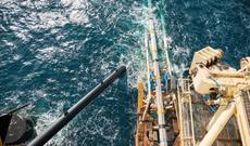 TAP qaz kəmərinin dəniz hissəsinin tikintisi başa çatıb