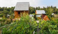 Kirayə həyət evlərinin qiyməti kəskin bahalaşdı