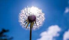 Sabah 40 dərəcə isti olacaq