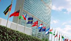 BMT: Bu il MDB ölkələrinə investisiyalar 38% azalacaq