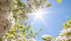 Sabah Bakıda havanın maksimal temperaturu 34 dərəcə olacaq