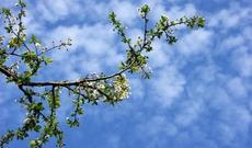 İyulun ilk gününün havası açıqlandı