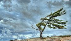 Sabahın hava proqnozu