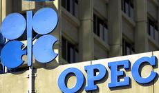 OPEC: Neft bazarı ilin ikinci yarısında sabitləşəcək