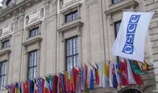 ATƏT cəbhədəki sakitliyi alqışladı