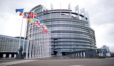 Avropa Parlamenti  bəyanat yayıb