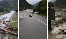 Təbii fəlakət Gürcüstanda ciddi problemlər yaradıb