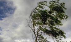 Sabah hava küləkli olacaq