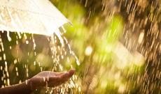 Rayonlara yağan  yağışlar nəticəsində çaylarda daşqınlar olub