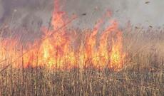 Binəqədi qəsəbəsində 2 ha sahədə qamışlıq və məişət tullantıları yanıb