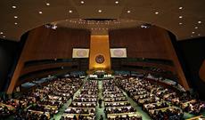 BMT-də müzakirələr video formatda keçiriləcək