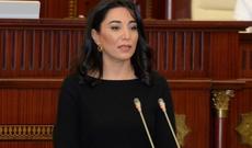 Səbinə Əliyeva fəaliyyətini dondurdu