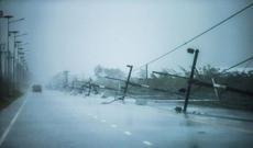 16 nəfər  "Laura" qasırğasının qurbanı olub