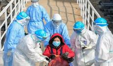 Azərbaycanda bu gün koronavirus infeksiyasına 126 yeni yoluxma faktı qeydə alınıb