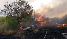 Rostov vilayətinin üç rayonunda meşə yanğınları səbəbiylə fövqəladə rejim elan olundu