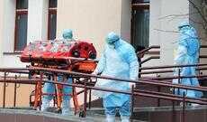 Gürcüstanda son sutkada koronavirusa 29 yeni yoluxma faktı qeydə alınıb