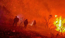 Amerikanın 3 ştatında   meşə yanğınları nəticəsində altı nəfər həlak olub