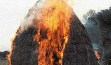 Qubada ot tayalarını yeniyetmələr yandırıb