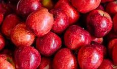 Rusiya Azərbaycandan alma və pomidor idxalını qadağan edir