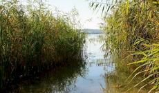 Ev sahibindən qaçan oğru gölməçəyə tullanıb və boğulub