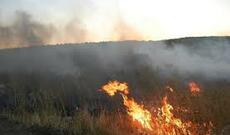 Hirkan Milli Parkında  yanğın davam edir