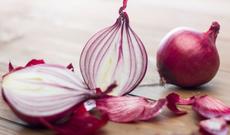 Ölkəyə gətirilən 20 tondan çox soğan yararsız çıxdı