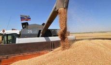 Gürcüstan Rusiyadan buğda almayacaq