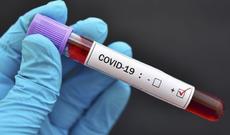 Azərbaycanda daha bir məktəb koronavirusa görə bağlanıb