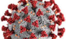 Ölkədə koronaya yoluxma sayı açıqlandı - Kəskin artım