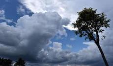 Sabah havanın dəyişkən buludlu olacağı, əsasən yağmursuz keçəcəyi gözlənilir