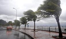 Bakıda güclü külək əsəcək – Xəbərdarlıq