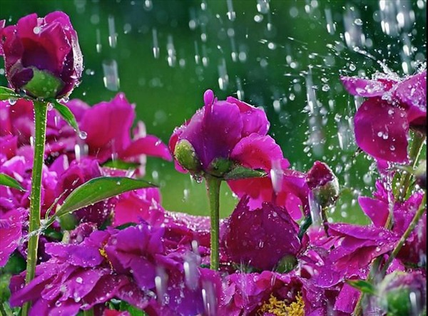 Sabah hava şəraitinin dəyişkən buludlu olacağı,  bəzi ərazilərə yağış yağacağı gözlənilir