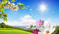 Sabah Bakıda 29 dərəcə isti olacaq