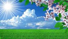 Sabah respublika ərazisində isti hava şəraiti davam edəcək