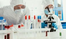 Rusiyada yeni təhlükəli bakteriya aşkarlanıb