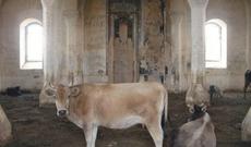 İmam Ağdamdakı erməni vəhşiliyini ifşa etdiyi üçün məhkəməyə verildi