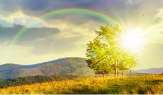 Sabah 36 dərəcə isti olacaq: Əsl yay havası gözlənilir