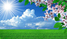 İyunun ilk gününə olan hava proqnozu açıqlanıb