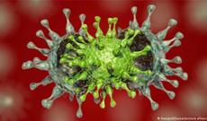 Ölkəmizdə koronaya yoluxanların sayı açıqlandı