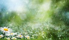 Sabah respublikamızın bəzi ərazilərinə  yağış yağacaq, dolu düşəcək