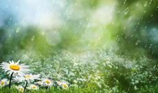 Sabah  bəzi ərazilərdə  şimşək çaxacağı, arabir yağış yağacağı,  dolu düşəcəyi gözlənilir