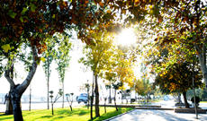 Sabah yağmursuz hava şəraiti gözlənilir