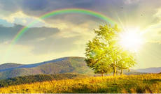 Sabah Azərbaycan ərazisində isti hava şəraiti davam edəcək